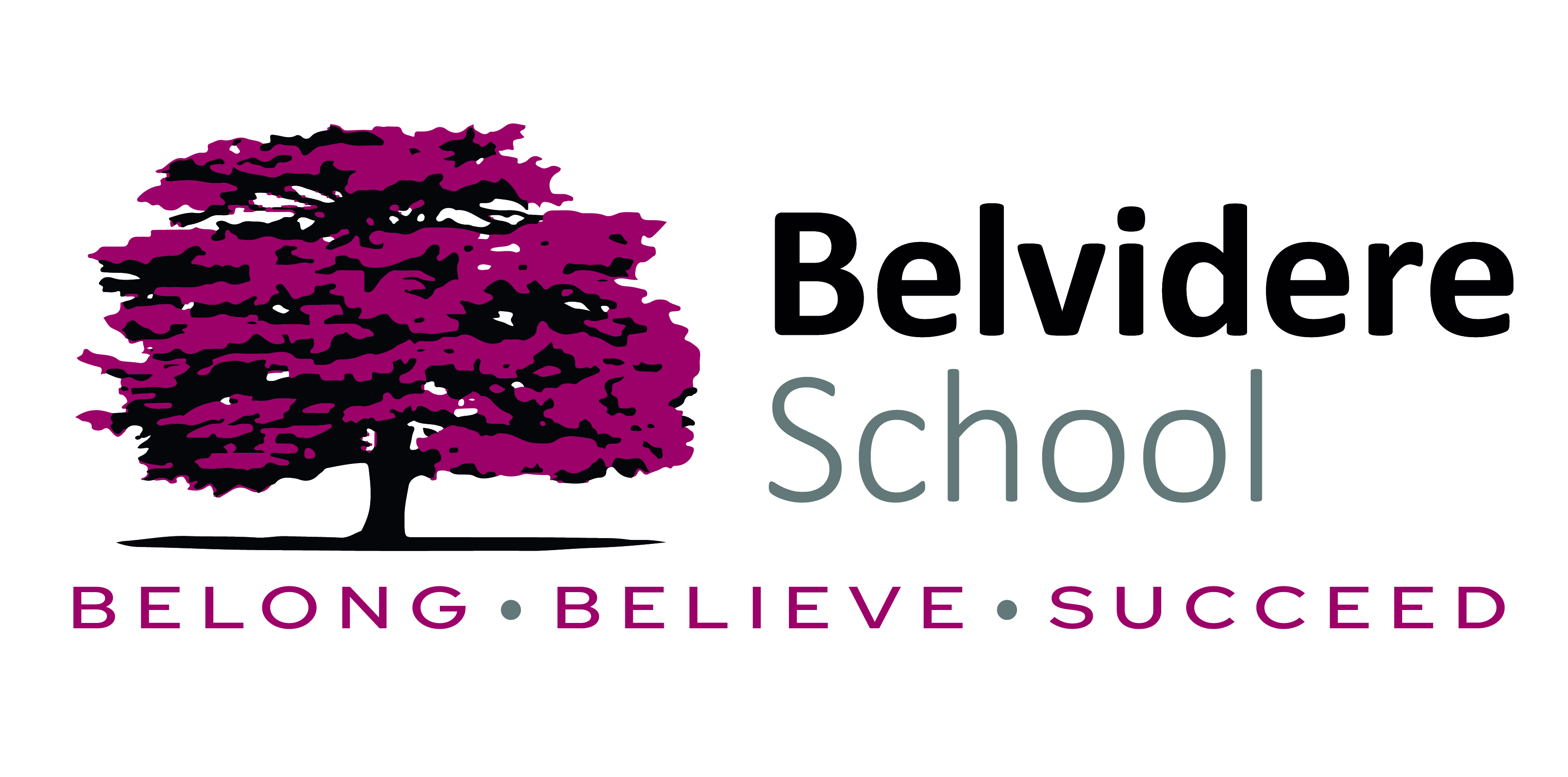 Belvidere School Vacancies